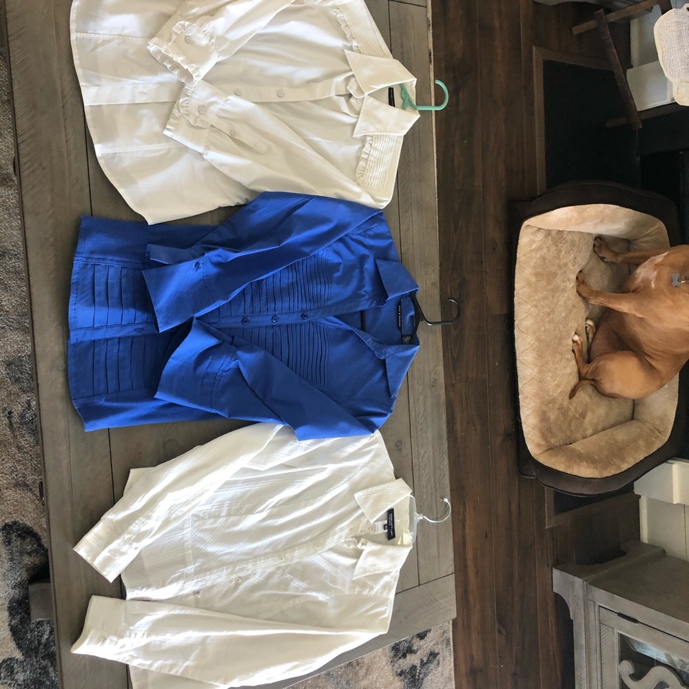 Lot of button downs. Business casual